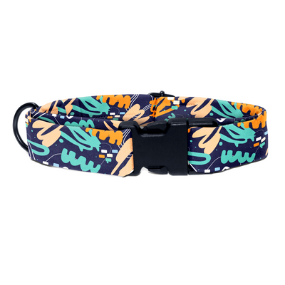 Urban Wanderlust - Collar & Tag