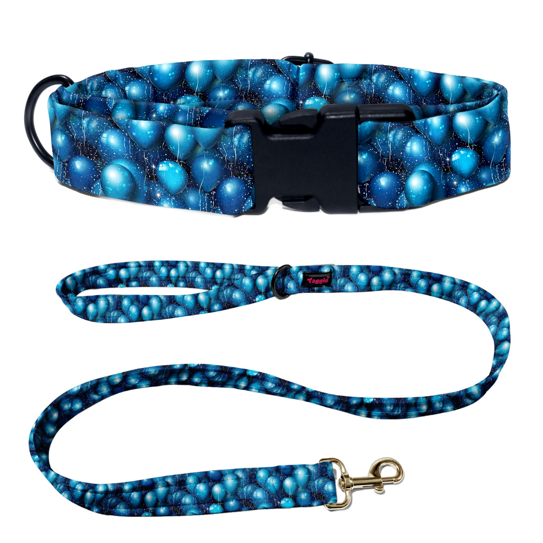 Indigo Balloon Bash Collar -Leash