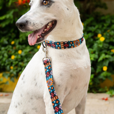 Sun-kissed Spots Collar-Leash