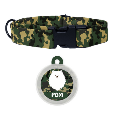 Spitz - Collar & Tag