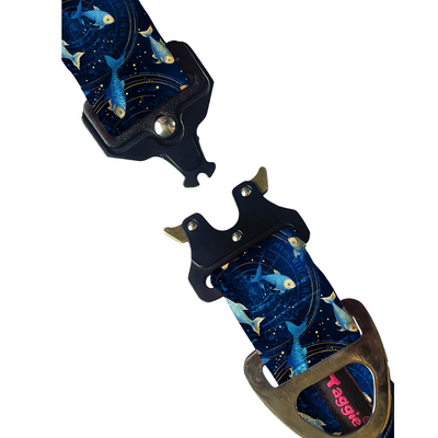 Pisces Collar -Leash