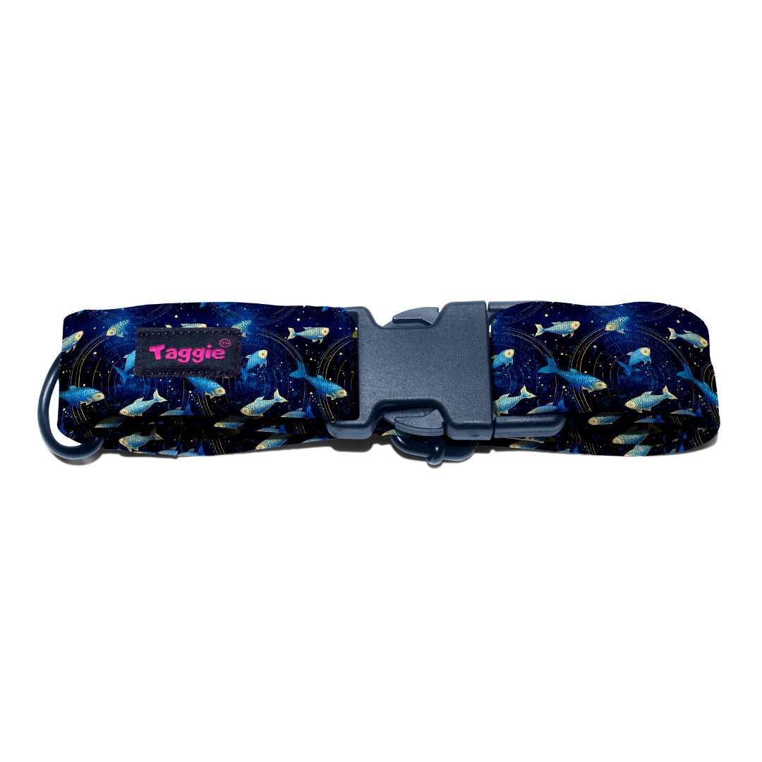 Pisces Collar -Leash