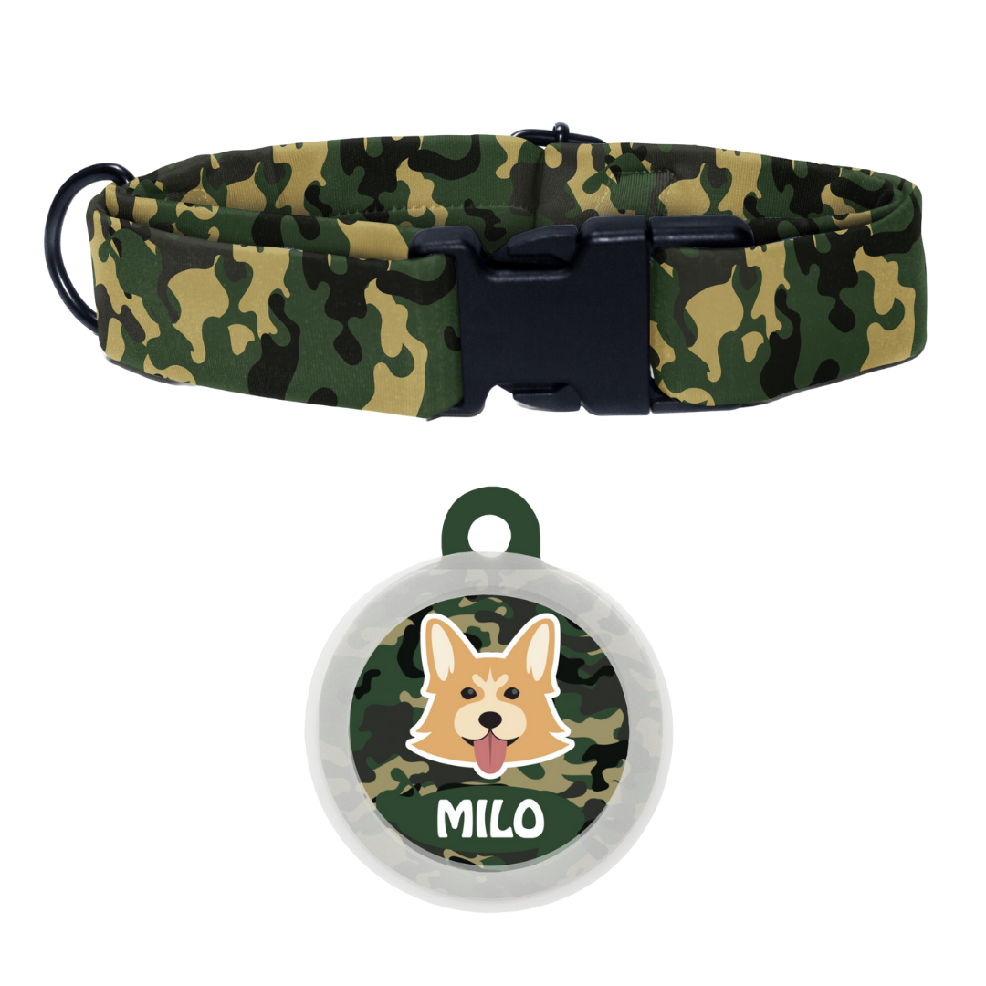 Welsh Corgi - Collar & Tag