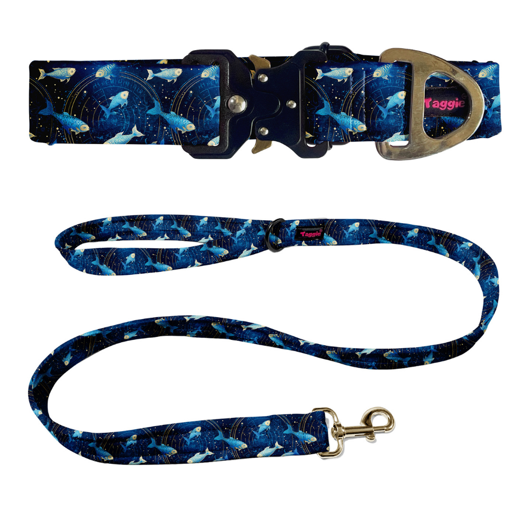 Pisces Collar -Leash