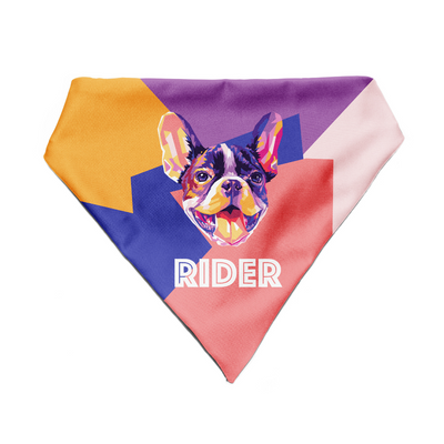 French Bulldog - Bandana