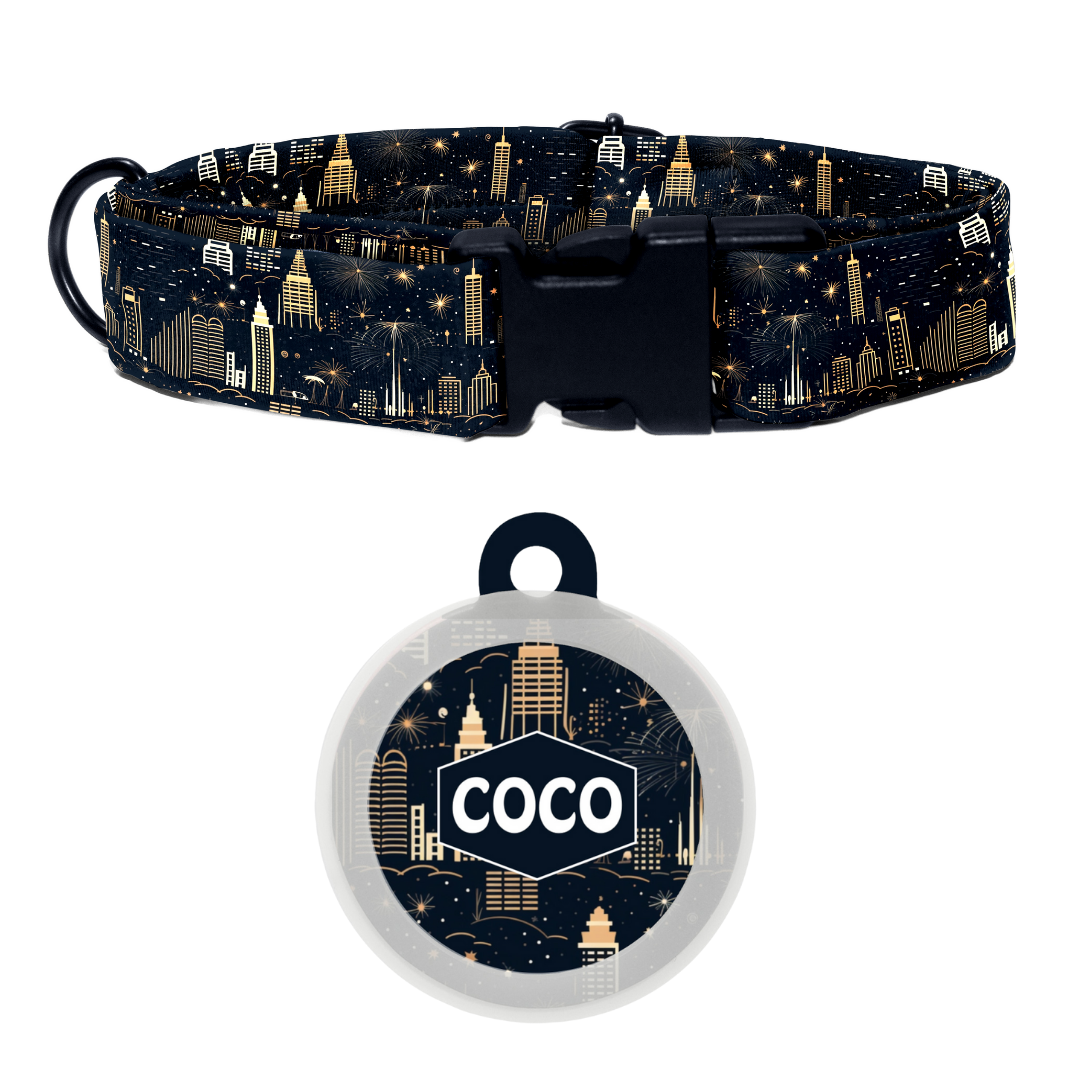 Midnight Sparkle - Collar & Tag