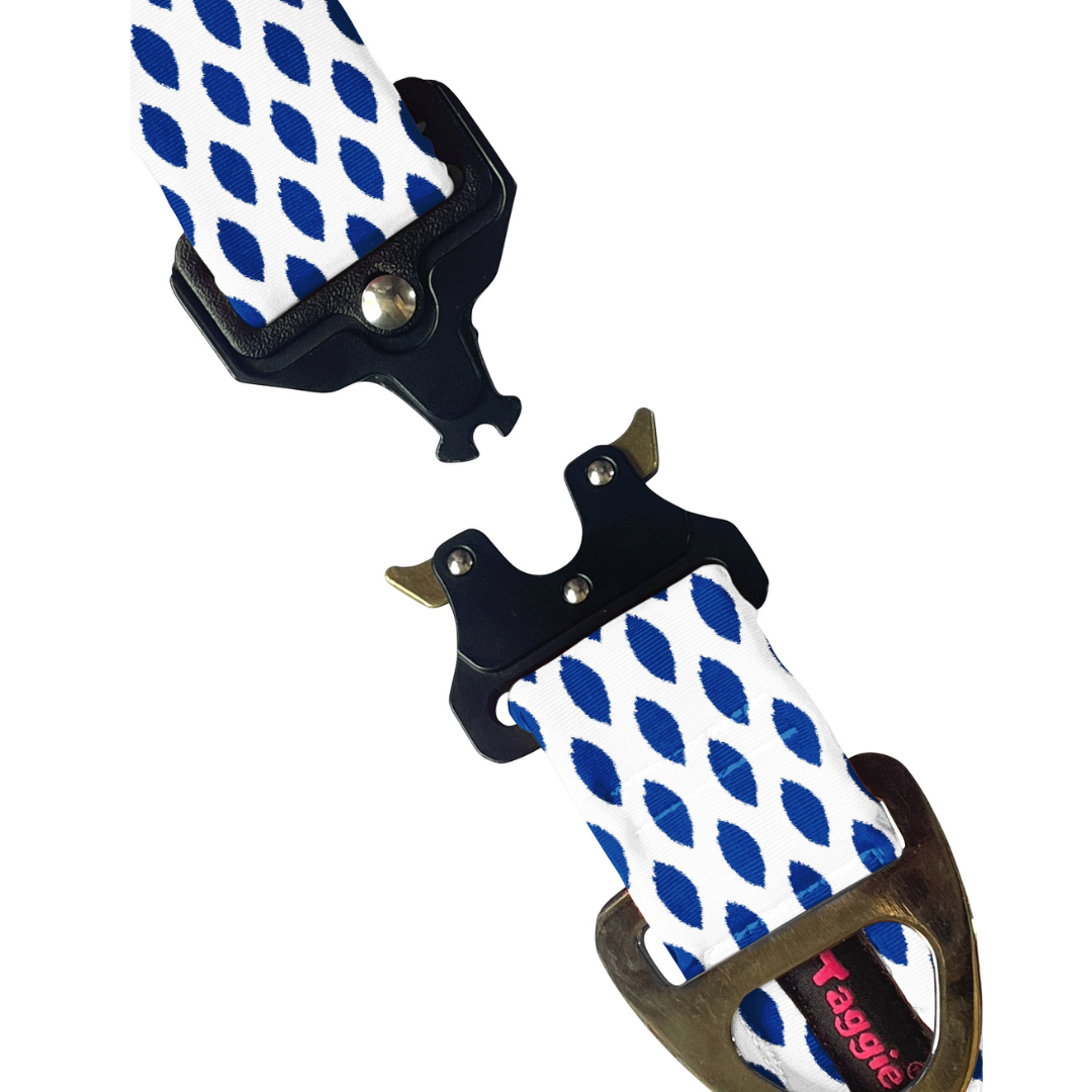 Ikkat Impressions - Collar & Tag