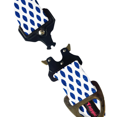 Ikkat Impressions - Collar & Tag