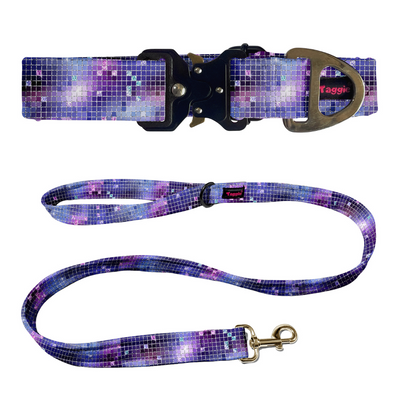 Twinkle Tango Collar-Leash