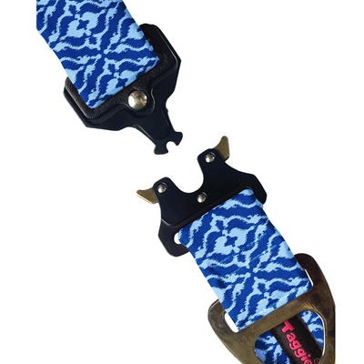 Indigo Charm - Collar & Tag