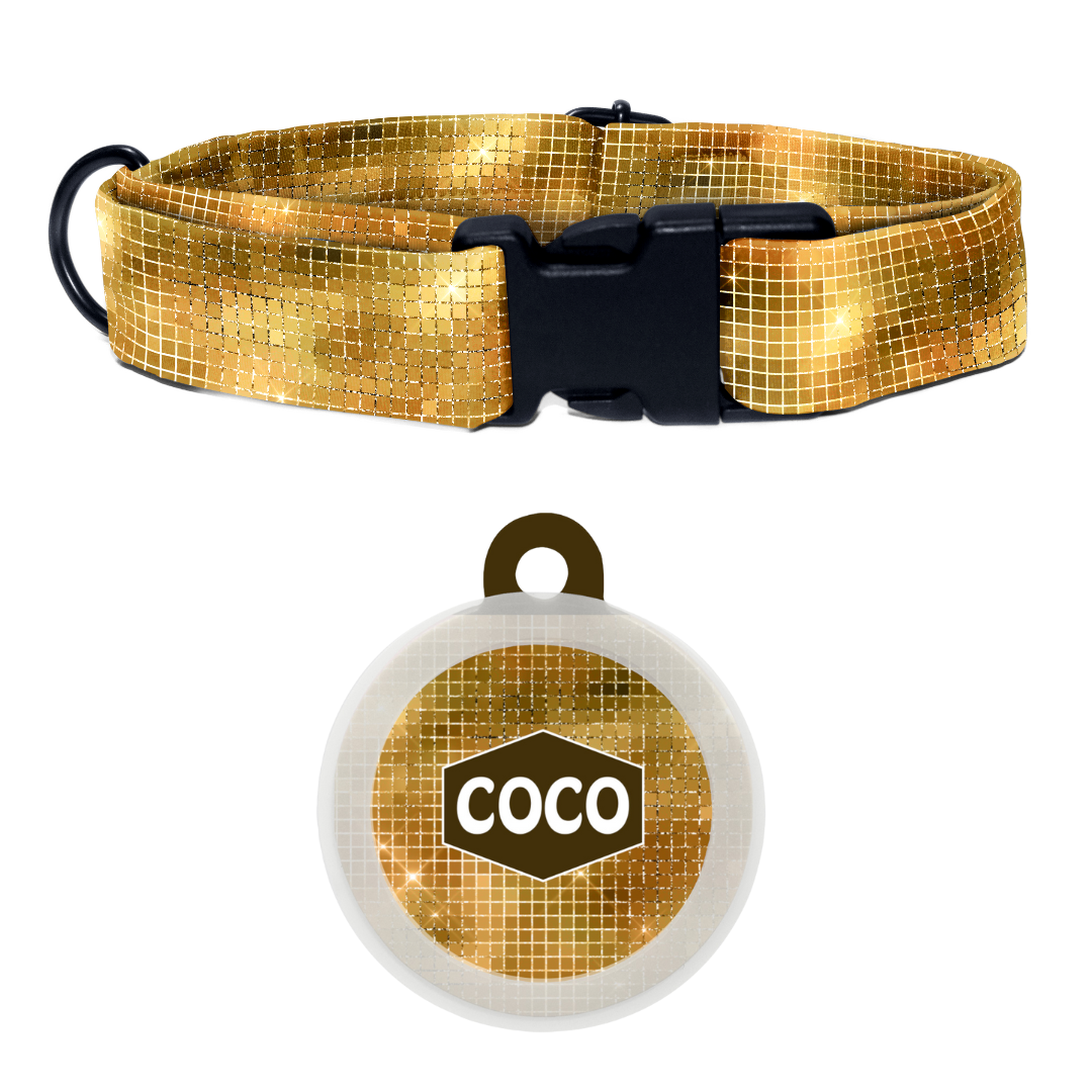 Stardust - Collar & Tag