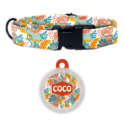 City Chic - Collar & Tag