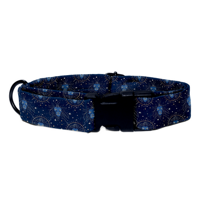 Leo - Collar & Tag