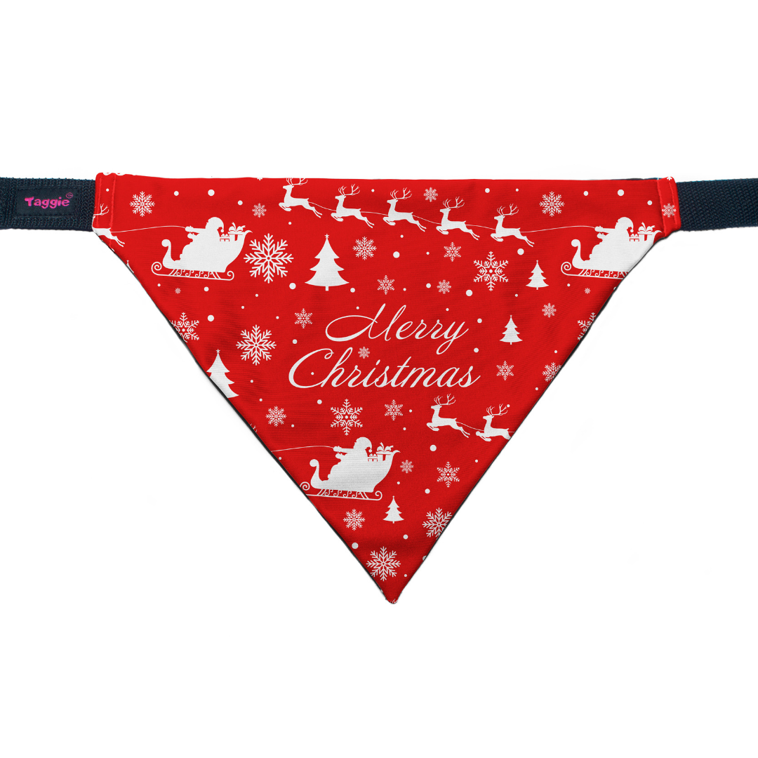 Merry Christmas - Bandana