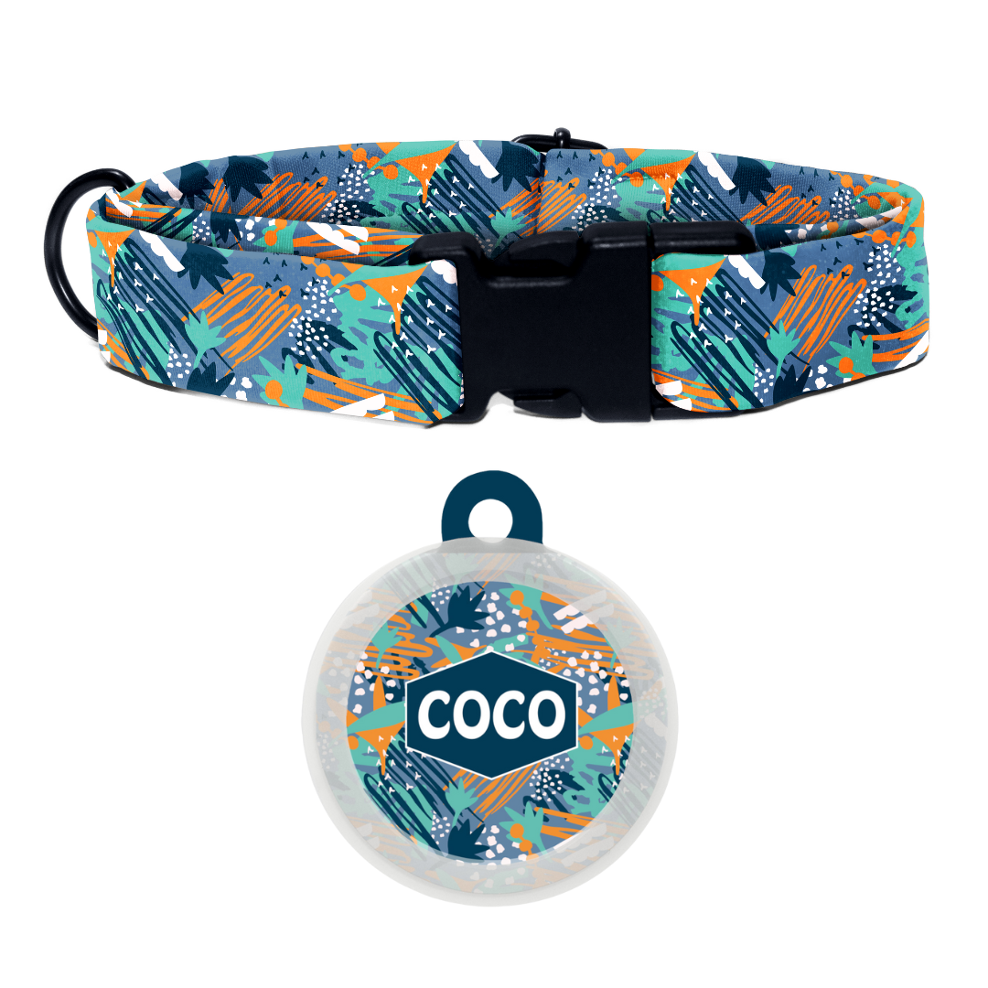Free Spirit - Collar & Tag