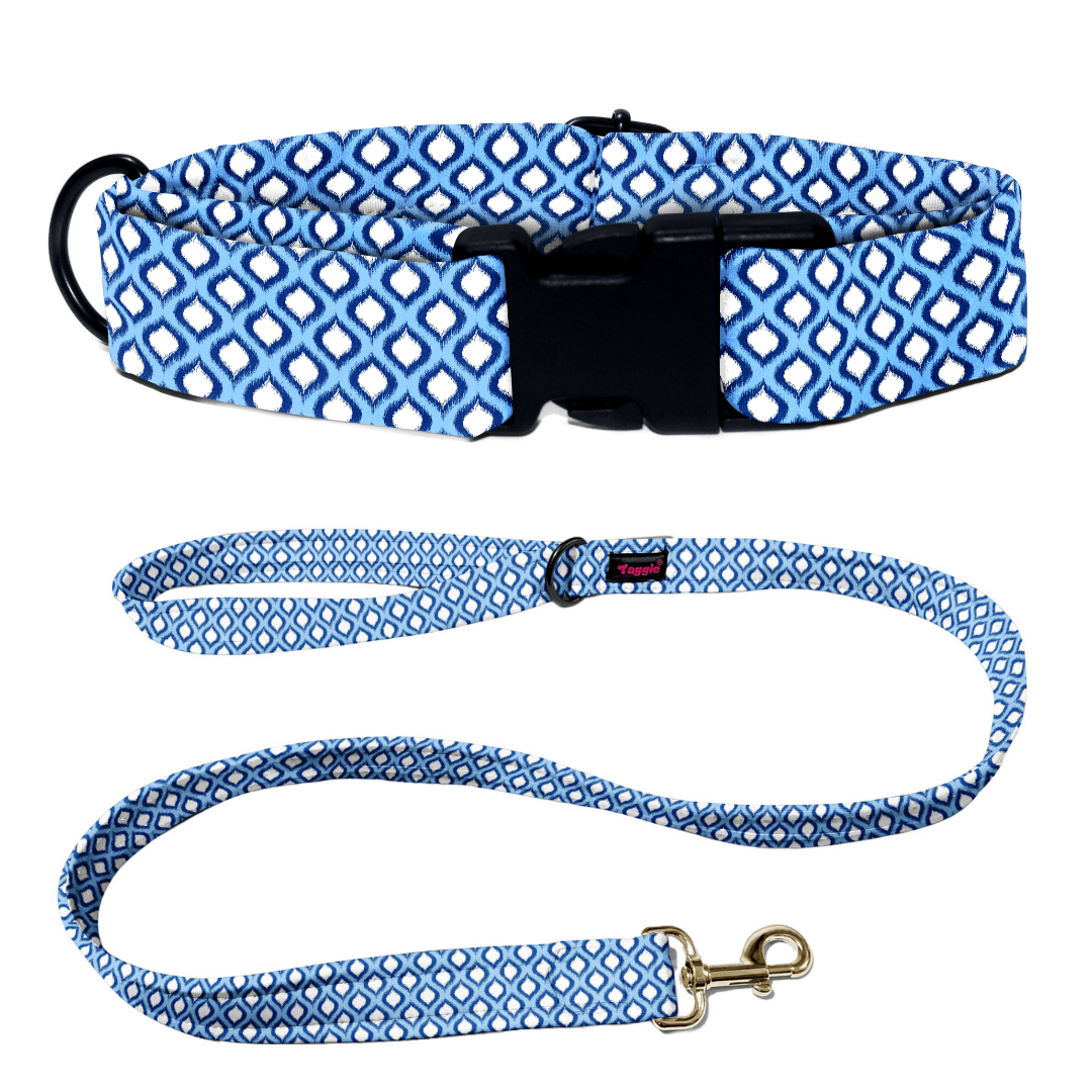 Midnight Mahal Collar-Leash
