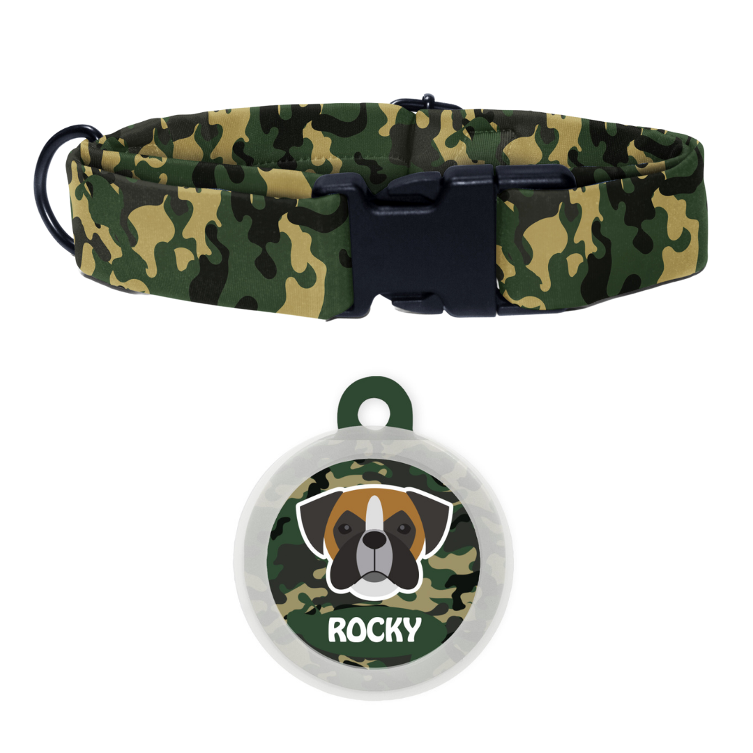 Boxer  - Collar & Tag