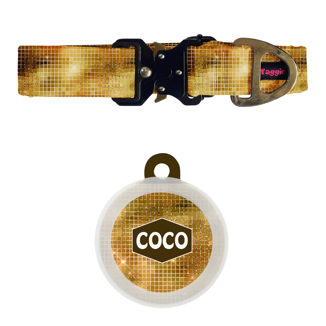 Stardust - Collar & Tag