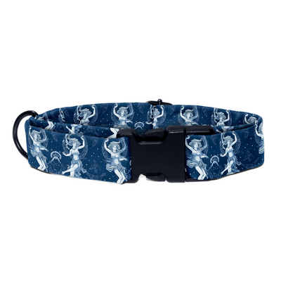 Gemini Collar -Leash