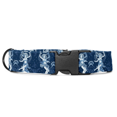 Gemini Collar -Leash