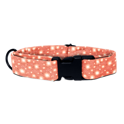 Gala Glamour - Collar & Tag