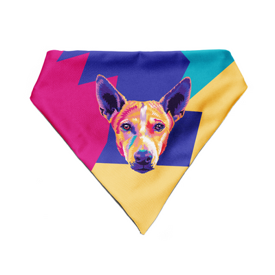 Indie ears up - Bandana