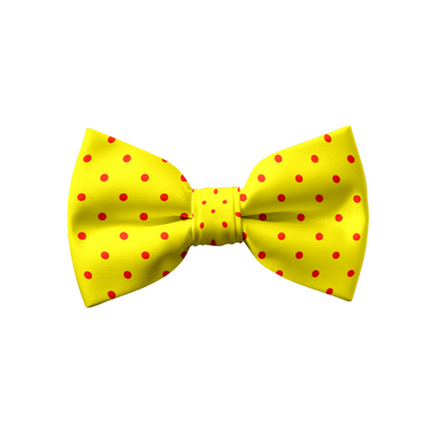 Sun-kissed Spots - Bow