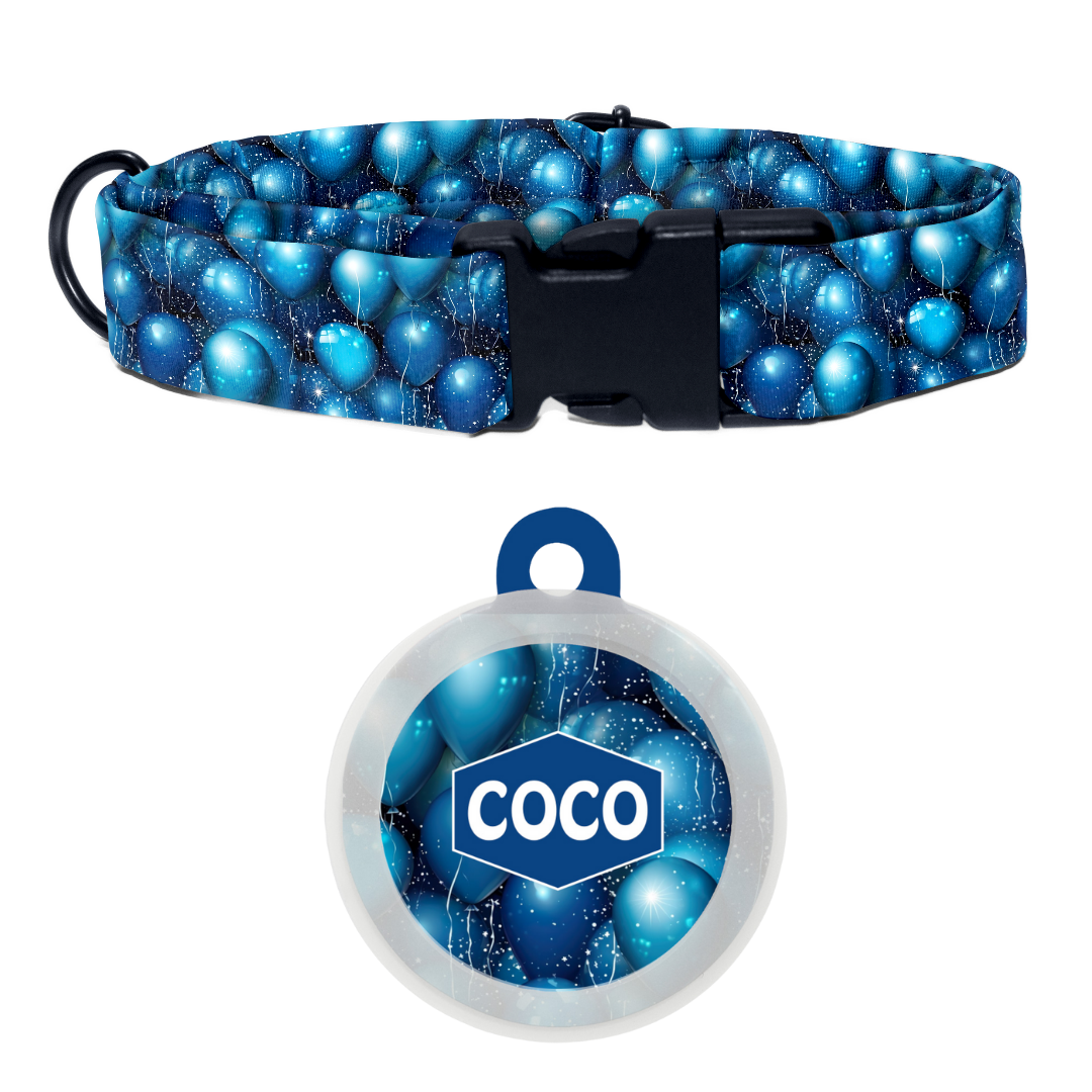 Indigo Balloon Bash - Collar & Tag