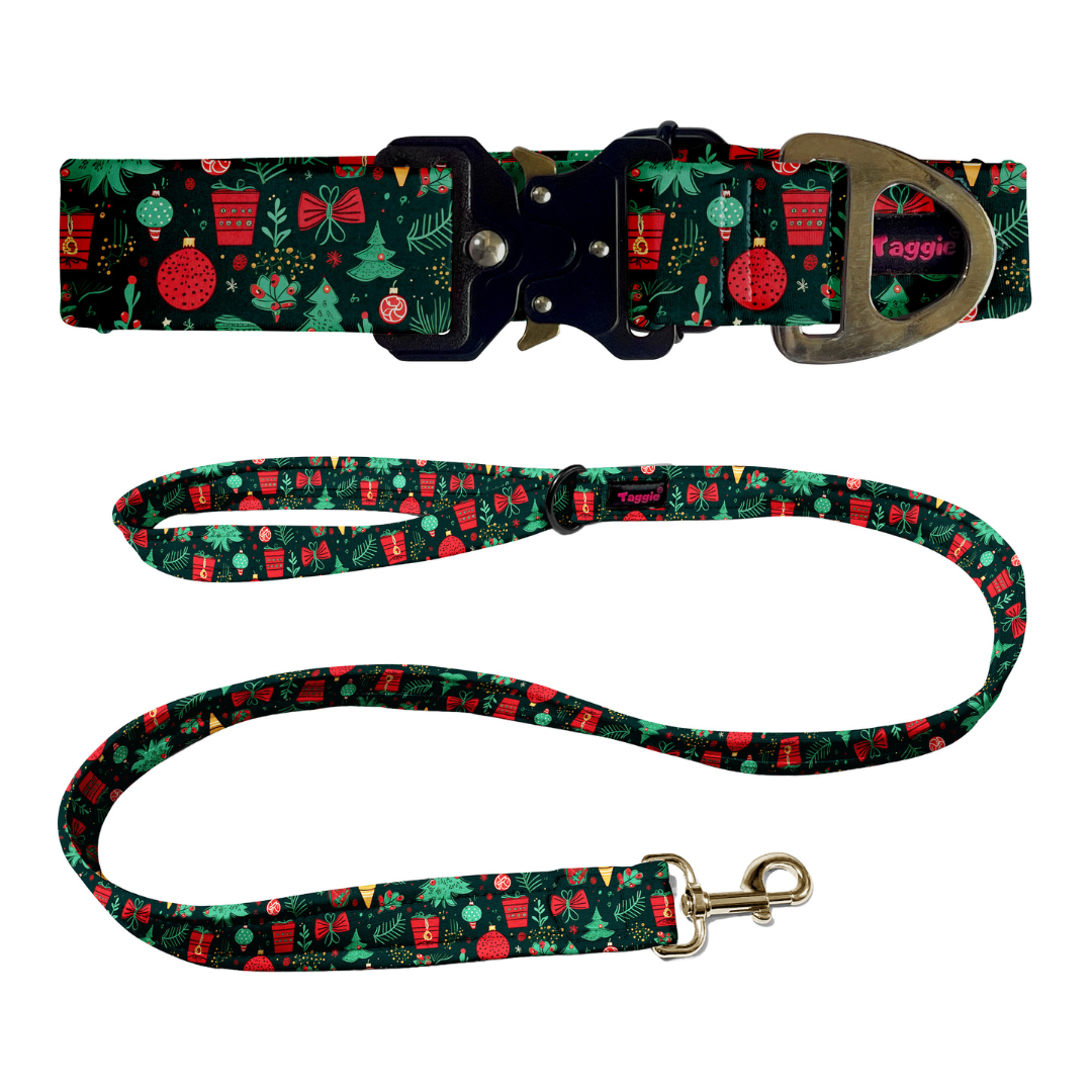 Festive Furry Collar-Leash