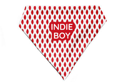 Paisley Pride - Bandana