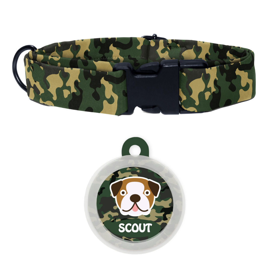 Bull Dog - Collar & Tag