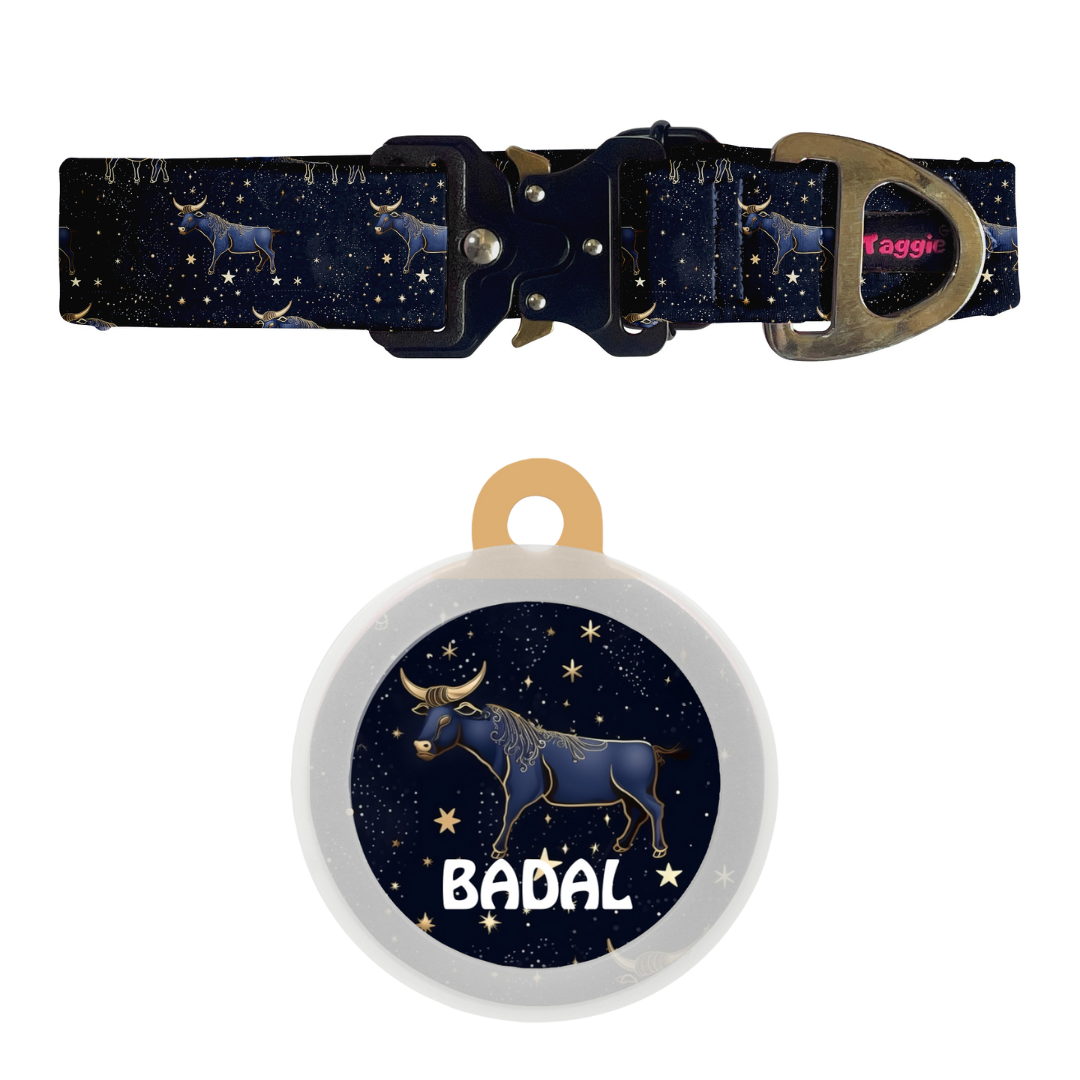 Taurus - Collar & Tag