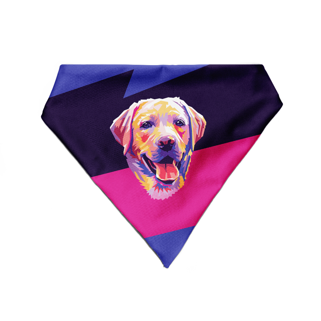 Labrador - Bandana