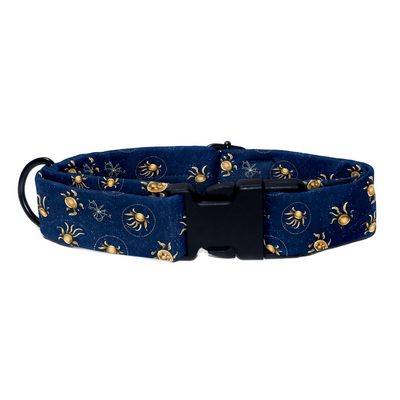 Cancer Collar -Leash