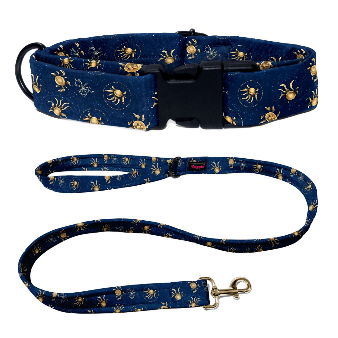 Cancer Collar -Leash