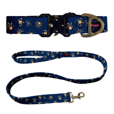 Cancer Collar -Leash