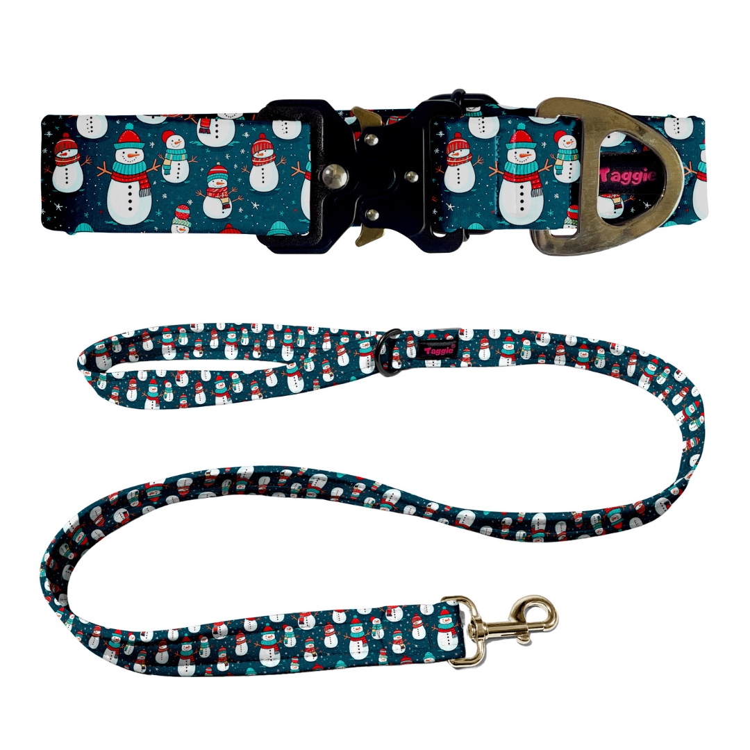 Frosty Friend Collar-Leash