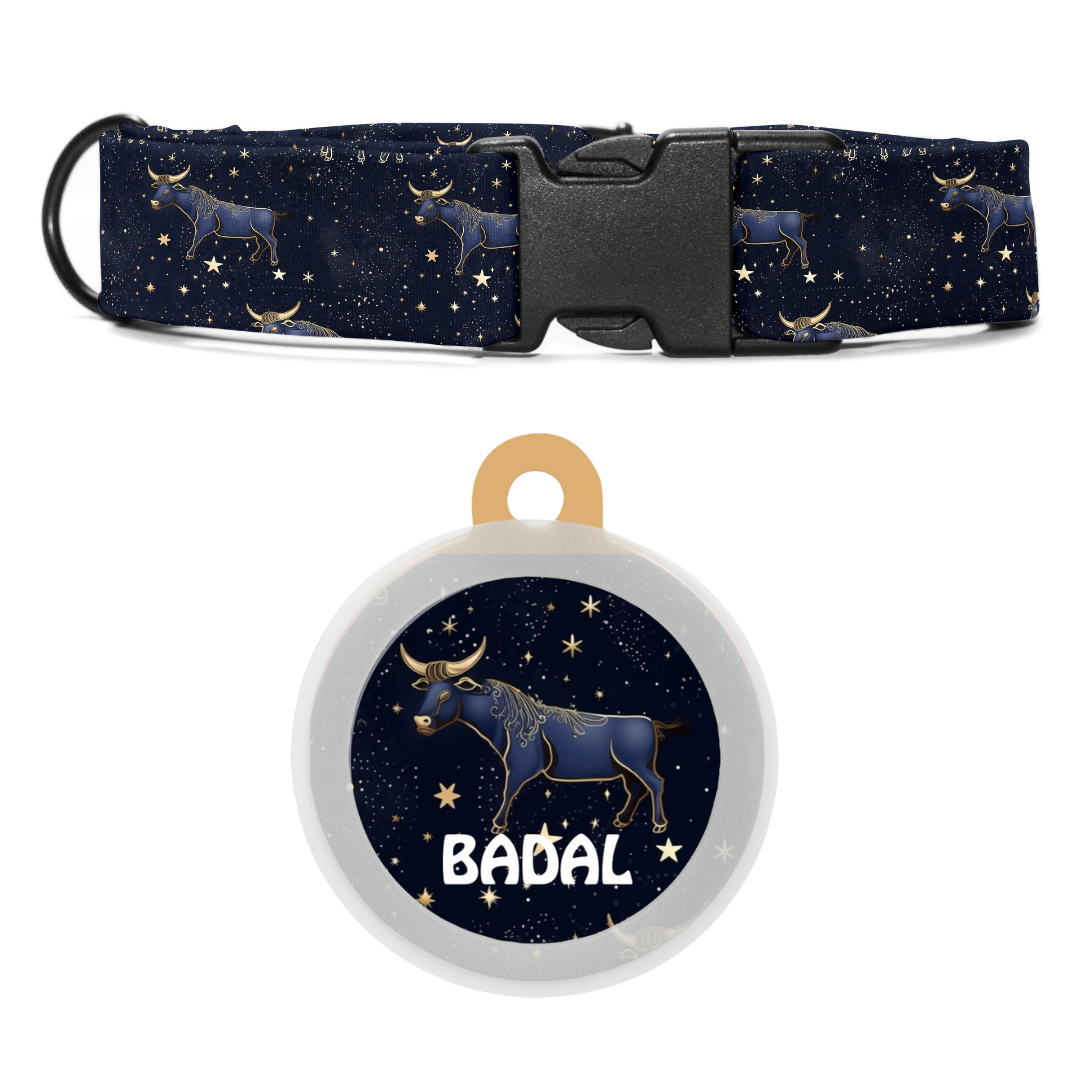 Taurus - Collar & Tag