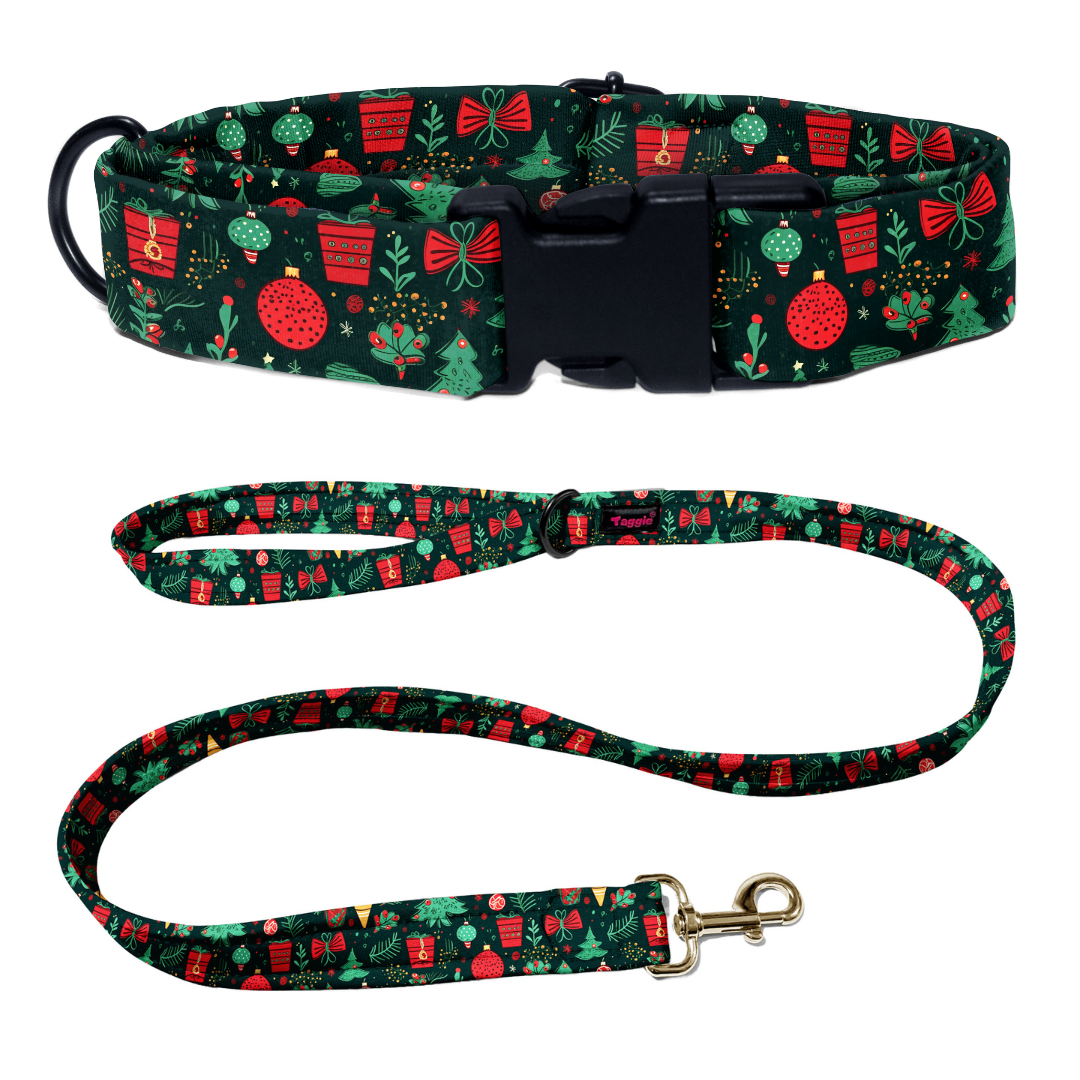 Festive Furry Collar-Leash
