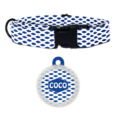 Ikkat Impressions - Collar & Tag