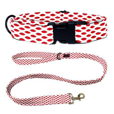 Paisley Pride Collar-Leash