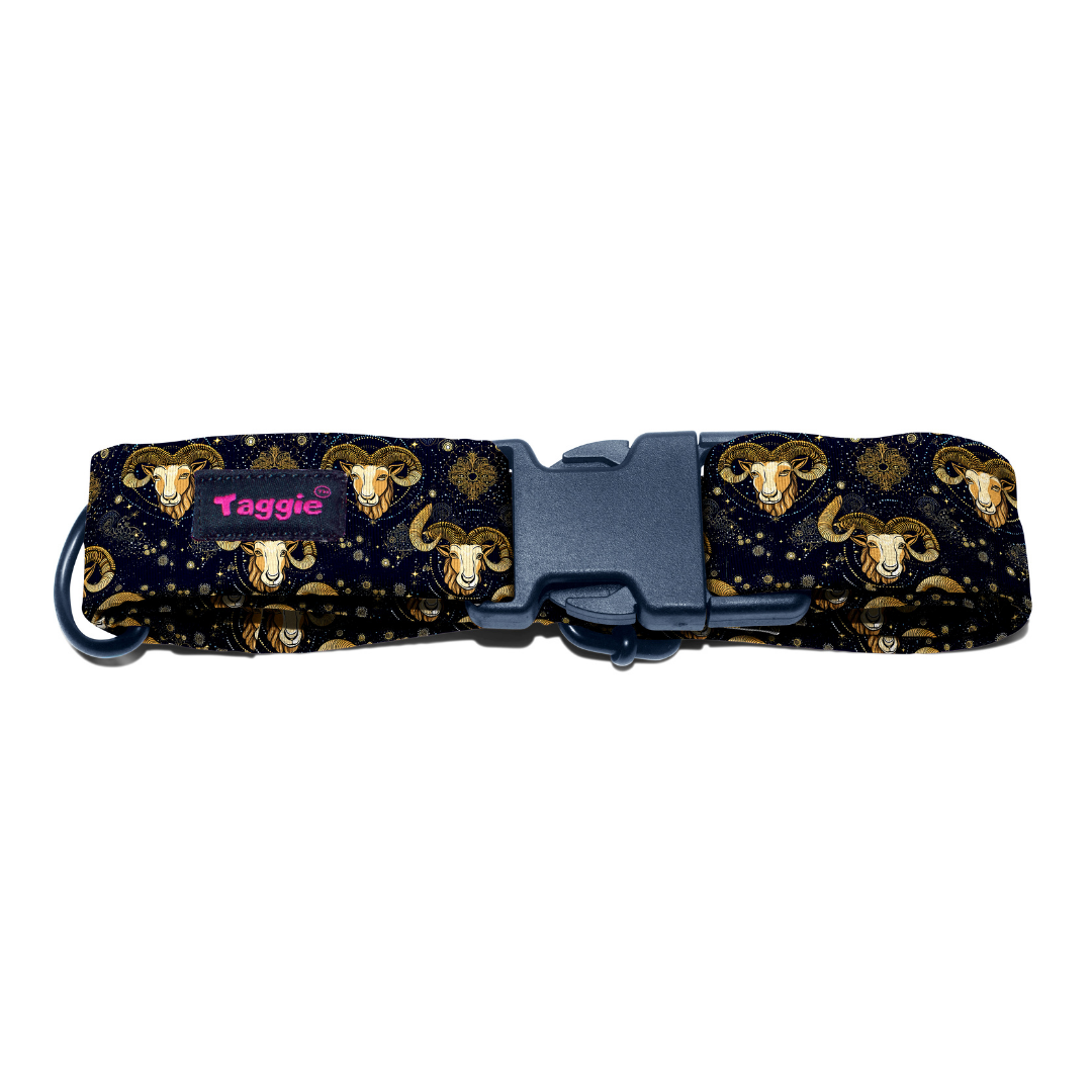 Aries Collar -Leash