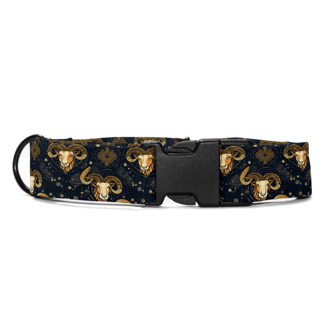 Aries Collar -Leash