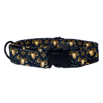 Aries Collar -Leash