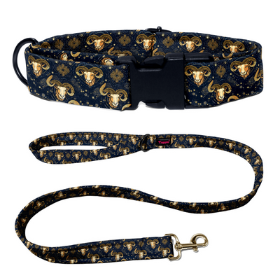 Aries Collar -Leash