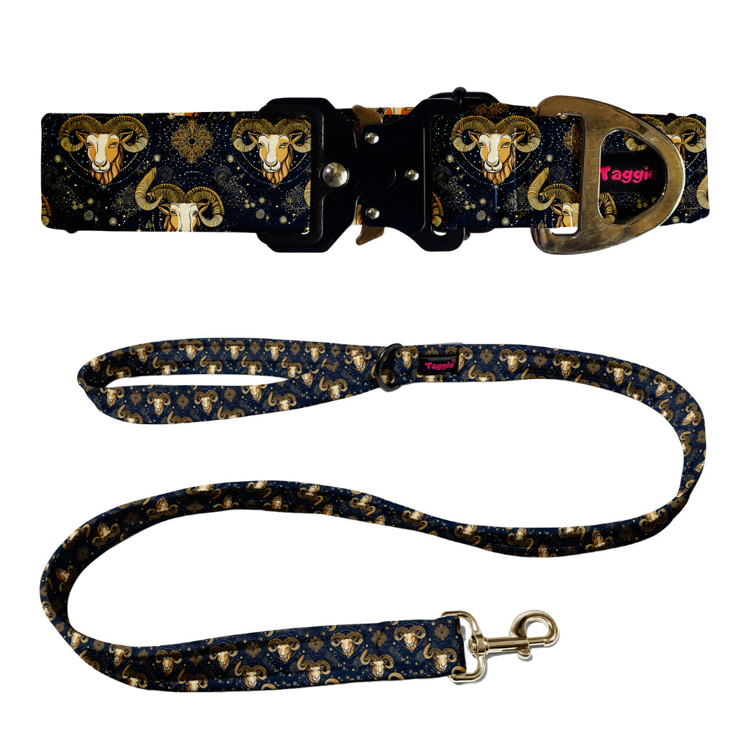 Aries Collar -Leash