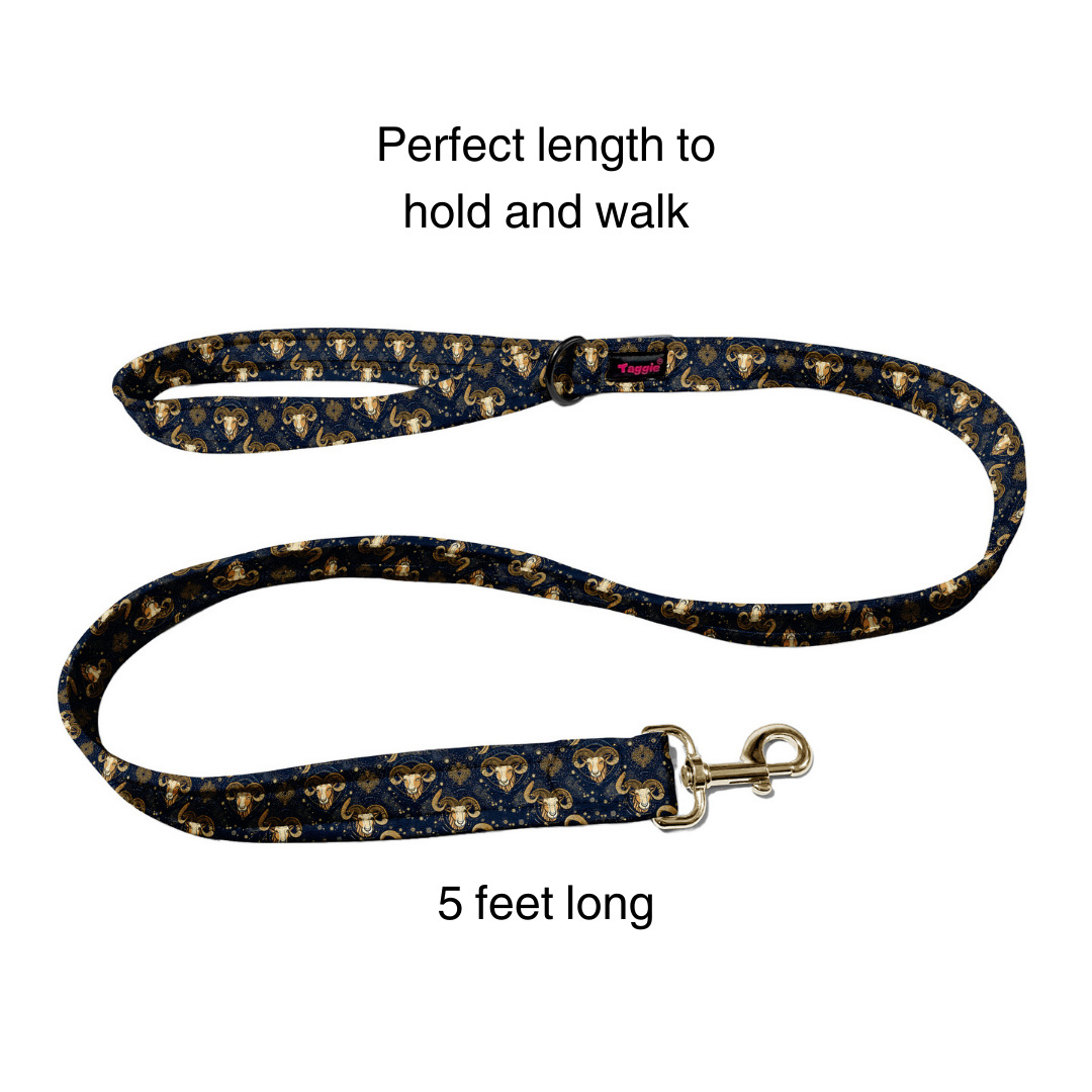 Aries Collar -Leash