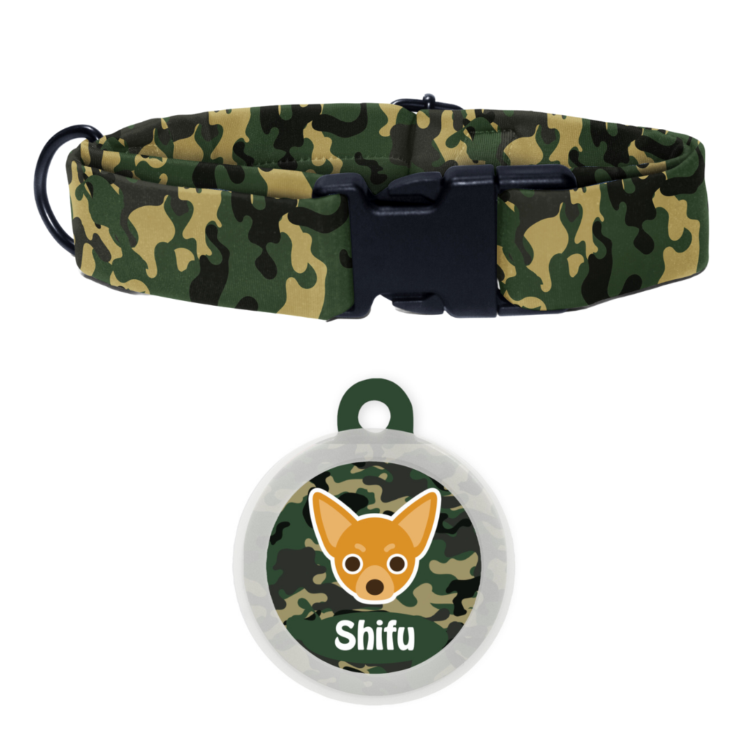 Chihuahua  - Collar & Tag