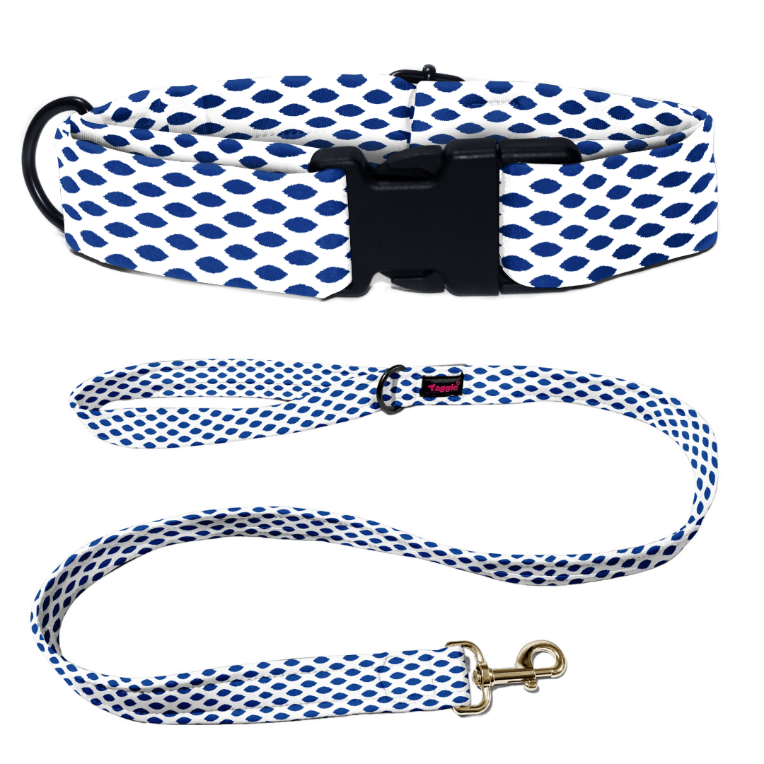 Ikkat Impressions Collar-Leash