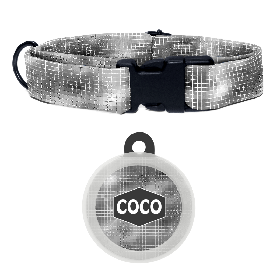 Shimmering Night  - Collar & Tag